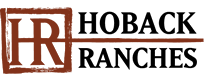 Hoback Ranches